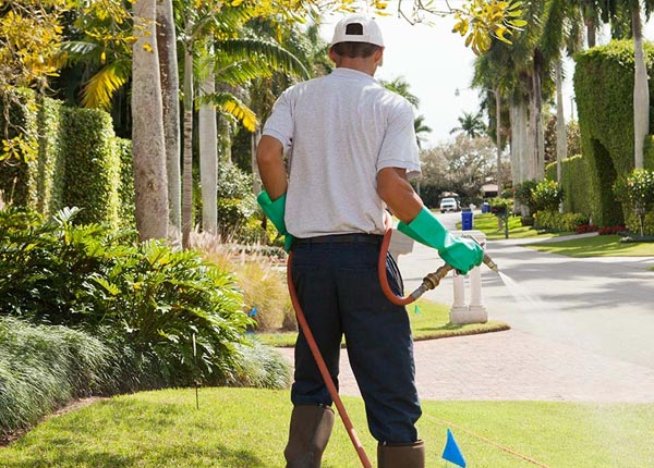 About Mcgrew NE Pest Control
